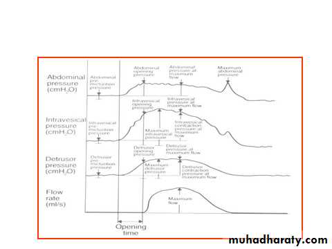 Urology