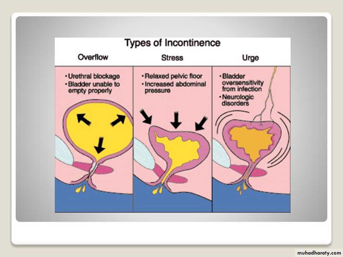 Urology
