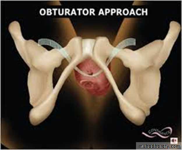 Urology