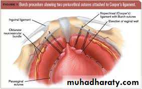 Urology