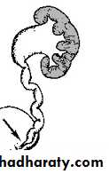 Urology