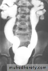 Urology