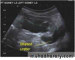 Urology