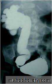 Urology