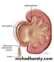 Urology