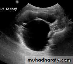 Urology