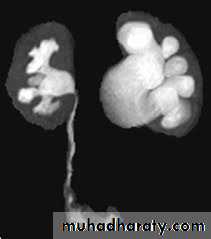 Urology