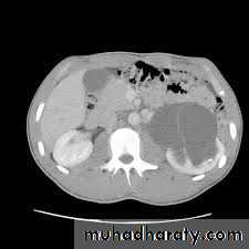 Urology