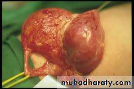Urology