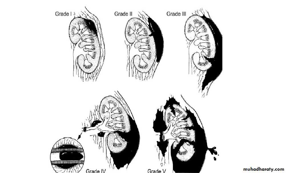 Urology
