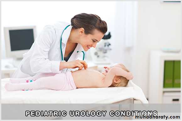 Urology
