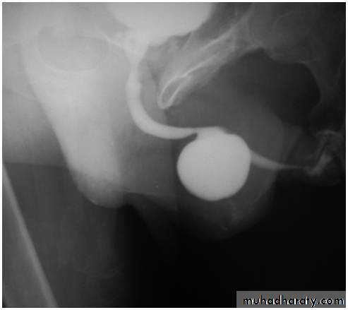 Urology