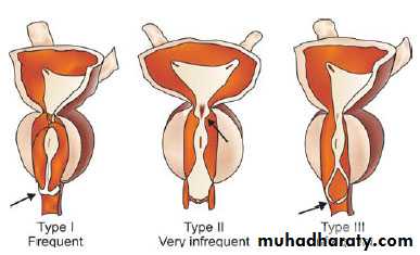 Urology