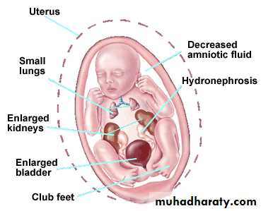 Urology