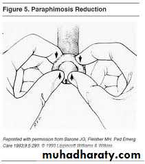 Urology