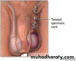 Urology