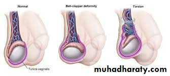 Urology