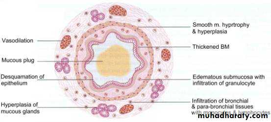 Respiratory