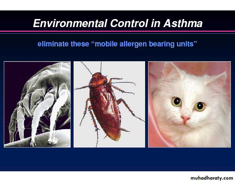 Respiratory