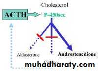 Endocrine