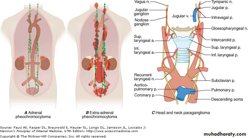 Endocrine