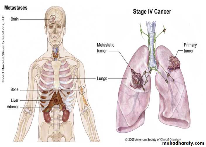 Respiratory