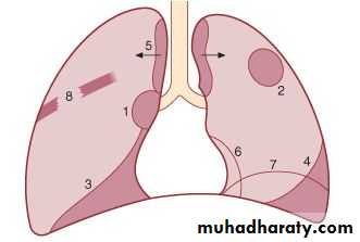 Respiratory