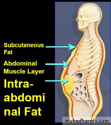 Endocrine
