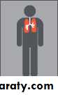 Endocrine