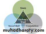 Respiratory