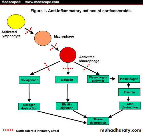 Endocrine