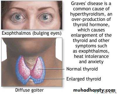 Endocrine