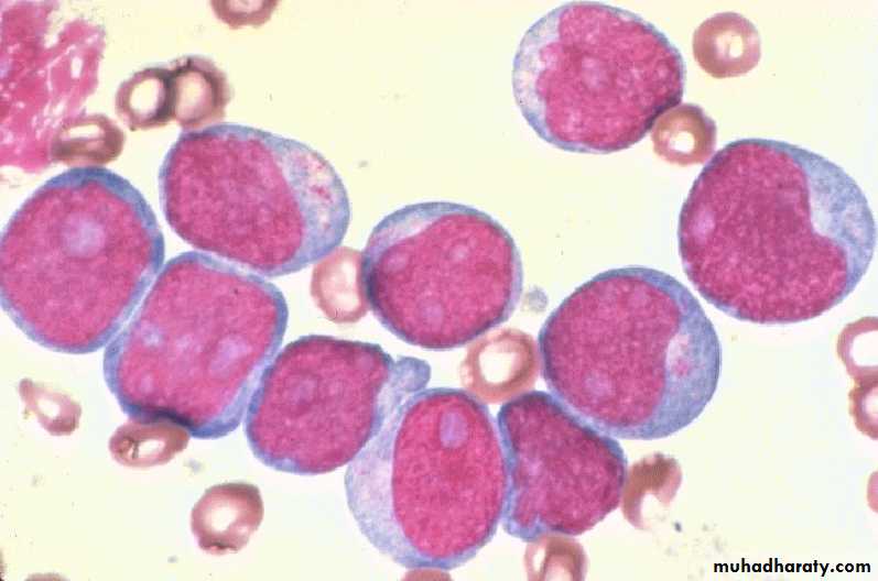 Hematopathology
