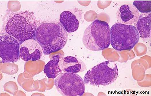 Hematopathology