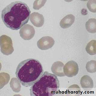 Hematopathology