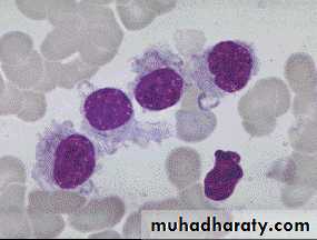 Hematopathology