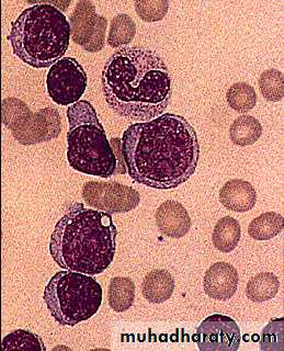 Hematopathology