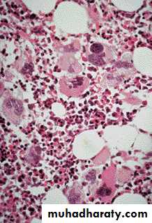 Hematopathology