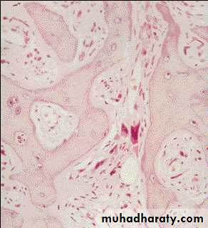 Hematopathology