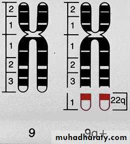 Hematopathology