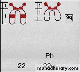 Hematopathology