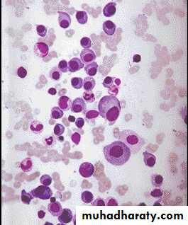 Hematopathology