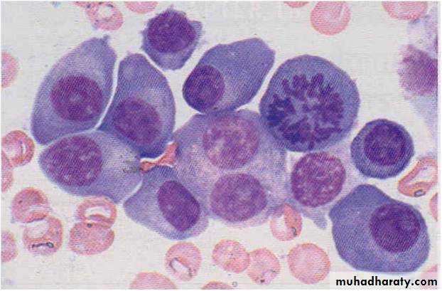 Hematopathology