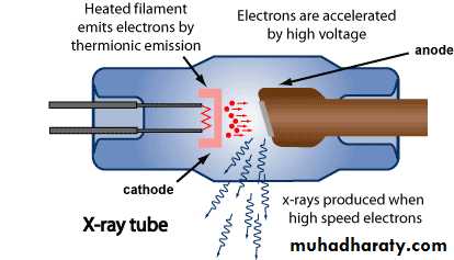 X rays