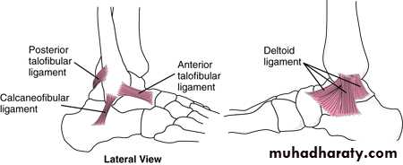 FOOT