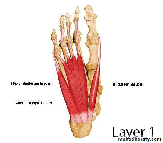 FOOT