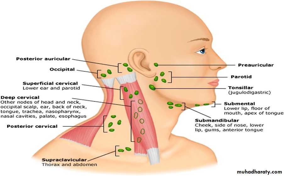 lymphatic diseases of the neck