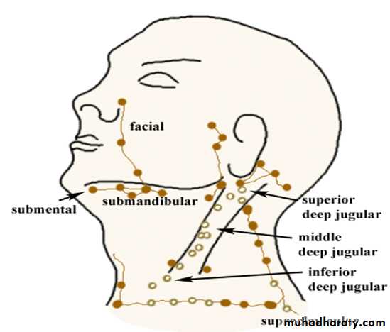 lymphatic diseases of the neck