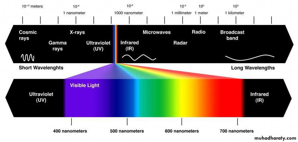 light in medicine and eye vision