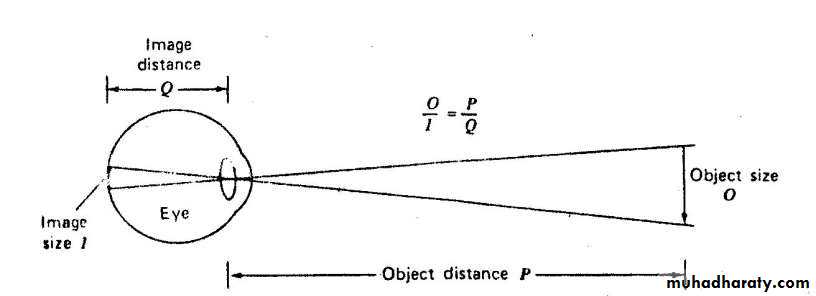 light in medicine and eye vision